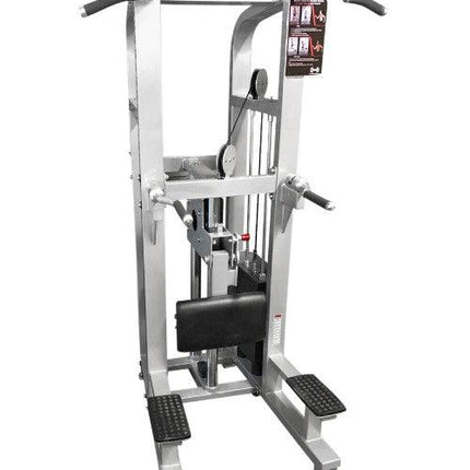 Dual Function Assisted Chin-Dip Combo - Muscle D Fitness - Adjustable - Plate Selectorized